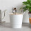 2X Kitchen Cutlery Organizer Knife Stand Storage Holder Separate Spoon Fork Chopstick Kitchenware Cooking Tool White 3