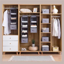 2X Wardrobe Hanging Storage Bag Interlayer Drawer Type Clothes Hangers Holder Portable Organizer Hanging (3 Layers)