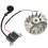 40-5 Magnetic Flywheel High Voltage Set Igniter Two-Punch Lawn Mower for 40-5 Engine Accessories 43cc 52cc 1