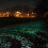Glow in Dark Rocks for Garden & Yard 1