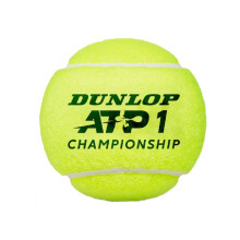 Dunlop ATP Championship Tennis Balls (Pack of 4)