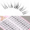Fluffy Cluster Eyelashes for Beginners - Natural Look 3