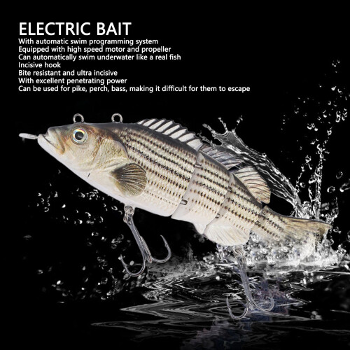 Leurre électrique de pêche - à articulations multiples, 650 mAh 2
