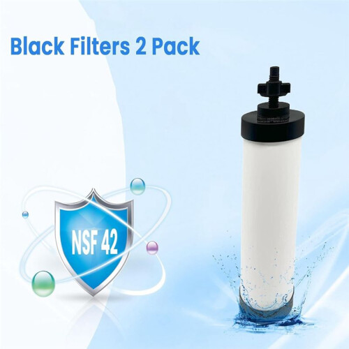 2PCS Ceramic Filter Replacement for BB9-2 Water Filter, Repeatable Cleaning Filters for  Gravity Filtration System 2