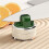 Knives Sharpener Multi-Angle Pocket Knifes Sharpener & Kitchen Sharpener with Suction Base for Knives, Scissors Red 5