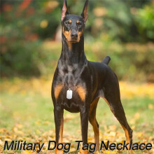 25 Pack Aluminum Blank Dog Tags for Laser-Engraving with 24 Inches of Stainless Steel Chain Black