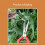 Garden Pruning Shears Potted Branches Scissors Fruit Picking Small Scissors Household Hand Tools 4