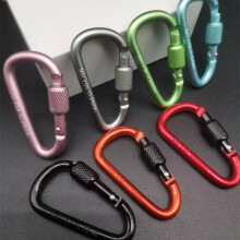(1pc) Outdoor D-Ring Keychain Buckle with Latch
