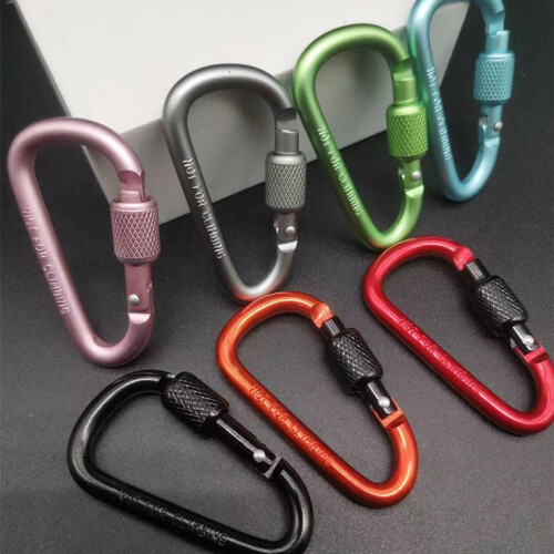 (1pc) Outdoor D-Ring Keychain Buckle with Latch