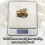 4 Pcs 1/4 Bulkhead Brass Pipe Fitting Anchor Coupling Bulkhead Tank Fitting 1/4" Bulkhead Tank Fitting Hose Connector 4