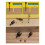 16PCS Countersink Drill Bit Set for Woodworking with Storage Box, Adjustable Depth & Hex Shank 4