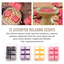 12 Pack Scented Wax Melts Wax Square, Scented Wax Melts, Soy Wax Melts for Warmers, Wax Square Gift Set, Baby Powder Wax
