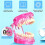 Disease Teeth Model Dental Typodonts Implant Teeth Model with Removable Teeth Pathological Demonstration (,2 Pcs) 3