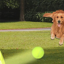 Lustige Interaktive Maschine, Lustiger Interaktiver Katapultwurf, Wiederaufladbarer Tennisballwerfer für Hunde, Hunde Jagen Automatisches Spielzeug A