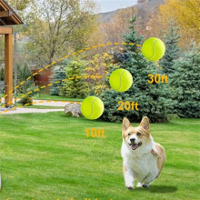 Lustige Interaktive Maschine, Lustiger Interaktiver Katapultwurf, Wiederaufladbarer Tennisballwerfer für Hunde, Hunde Jagen Automatisches Spielzeug A