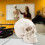 Anatomical Human Skull Model, 3-Part, Numbered, Life Size 4