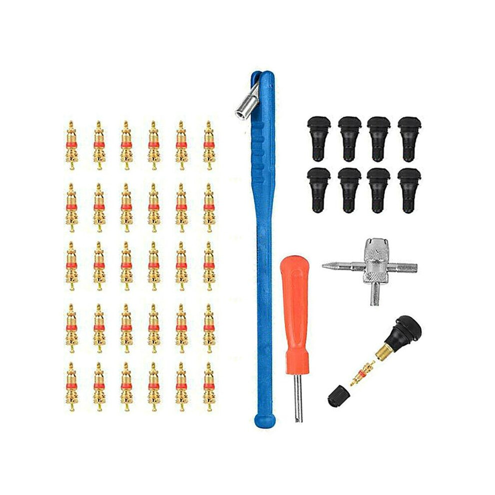 43Pcs Valve Installation Tool Kit Tire Valve Stem Tool Puller And Installation Kit 4712872016473