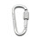 Screw Lock D-Shape Carabiner, Wear Resistant 4