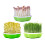 Lightproof Seed Sprouter Kit for Indoor/Outdoor 4