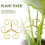 (5PCS) Rustproof Green Garden Plant Stakes - 50 Char 4