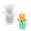 (2548) Epoxy Tulip Mold for DIY Candle & Decor 4