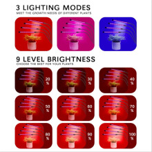 Lampes de Culture LED pour Plantes, Lampe de Culture à  Complet pour Plantes Hydroponiques, Intensité Variable à Plusieurs Niveaux,