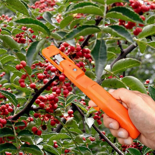 Grape Picking Tool Multifunctional Kitchen Chopping Gadgets Ergonomic Pepper Flower Branch Scissors Garden Supplies 1