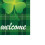 Weatherproof St Patrick's Day Yard Flag 4
