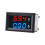 (10A Red Blue) High Precision LED Voltmeter Ammeter Tool 3