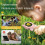 2 in 1  Digital Microscope 500X Handheld Microscope 2 MP Camera with 8 Leds for Kids Plants Insects 3