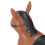 Cheval sauteur gonflable marron 55x50x25 cm 12