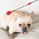 Hand-Shaped Dog Training Stick for All Sizes 6