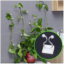100PCS Invisible Wall Vines Fixture , Plant Climbing Wall Fixture Clips, for Home Garden Wall Sticky Hook Middle