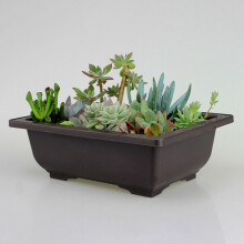 3X GroßEr Blumentopf Rechteck Bonsai Kindergarten Pflanzer Balkon Container 29X21X10.5cm