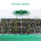 Thickened Seedling Pot with Light Seedling Box Light with Small Plant Ventilation Valve 5