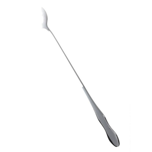 5pcs 10 Inch Stainless Steel Tableware Long Handle Scoop Teaspoon 1