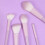 Makeup Brushes Set with Bag for Eyeshadow & Blush 3