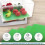 (Green, 6pcs) Fridge Liner - Extend Fruit & Veggie Freshness, Safe PP Material 5
