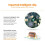 Sensor AS816  Digital Anemometer LCD Digital Wind Speed Meter Air Velocity Temperature Measuring 4