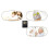 5X Kuechentimer Timer Kurzzeitmesser Eieruhr mit Magnet und 8