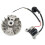 40-5 Magnetic Flywheel High Voltage Set Igniter Two-Punch Lawn Mower for 40-5 Engine Accessories 43cc 52cc 3