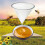 3X Fiber Beekeeping Honey Strainer Filter Screen Purifier Apiary Equipment Tool Colanders Kitchen Gadget 4