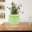 Pot à plante visage vert trou de drainage 10.05oz 4