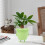 Pot à plante visage vert trou de drainage 10.05oz 9