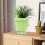 Pot à plante visage vert trou de drainage 10.05oz 10