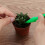 13pcs Mini Garden Tools Set for Succulents 2
