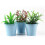 36pcs Planter for Flowers  Buckets Metal Table Decoration (Random Color) 6