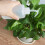 13pcs Mini Garden Tools Set for Succulents 9