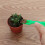 13pcs Mini Garden Tools Set for Succulents 11