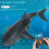 Remote Control Fish Children's Swimming Pool Beach Bath Toys Simulation Remote Control Mechanical Fish Robot Black 2